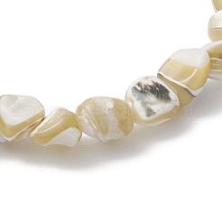 Натуральные бусины из ракушек трохус эластичные браслеты для мужчин и женщин BJEW-JB11685