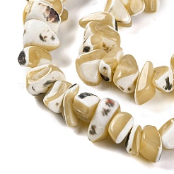 Fili di perline di conchiglia trochus naturale&nbsp;BSHE-S304-04