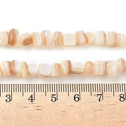 Нити бусин из натуральной белой ракушки SSHEL-F304-02B