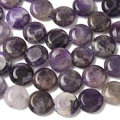 Природный аметист нитей бисера&nbsp;G-L648-B25-15mm