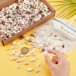 10 нити 10 стилей натуральные ракушечные бусины нити BSHE-PH0001-33