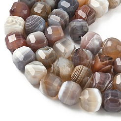 Природные Ботсвана агат бисер нитей&nbsp;G-C267-A07