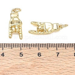 Pendentifs de placage en laiton&nbsp;KK-CBAB1AF-05G