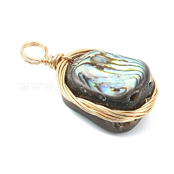 Natürliche Abalone Muschel / Paua Muschel Anhänger&nbsp;PALLOY-JF05278