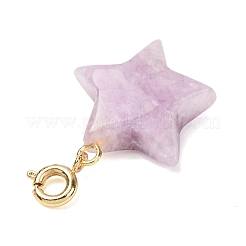 Decorazioni pendenti a forma di stella con pietre preziose naturali e sintetiche&nbsp;G-B188-05G