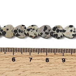 Природные яшмы далматин бисер нитей&nbsp;X-G-M403-A31-03