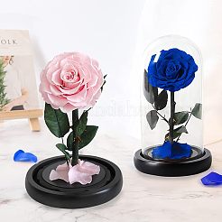 ガラスドームカバー  装飾ショーケース  クローシュベルジャーテラリウムウッドベース付き  ブラック  115x110mm&nbsp;ODIS-WH0010-41A