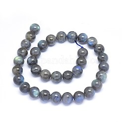 Perline labradorite naturale fili&nbsp;G-F602-04-8mm-01