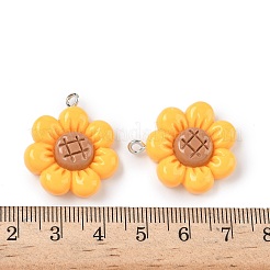 Подвески из непрозрачной смолы&nbsp;FIND-Z092-06P