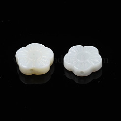 Бусины из натуральных пресноводных ракушек SHEL-N026-184