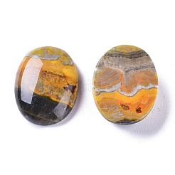 Натуральные кабошоны из яшмы шмеля G-A179-01B