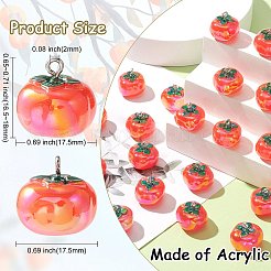 Подвески из непрозрачной смолы 20 шт. SACR-CJ0001-37