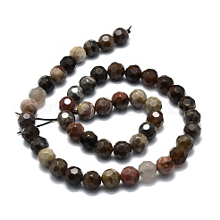 Chapelets de perles en bois pétrifié naturel&nbsp;G-E576-31