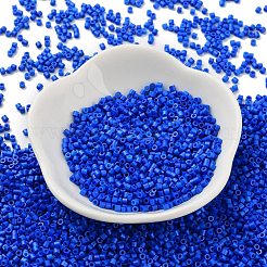 Выпечка краска стеклянные бусины&nbsp;X-SEED-S042-05B-77