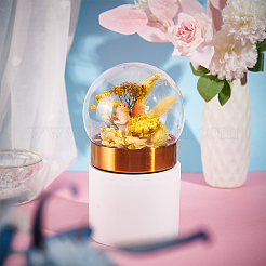 Couvercle de dôme en verre&nbsp;DJEW-WH0015-102B