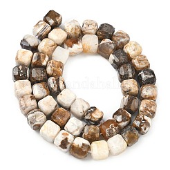 Природные окаменелое дерево бисер пряди&nbsp;G-C267-A06