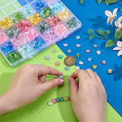 960шт матовые прозрачные акриловые бусины&nbsp;OACR-PH0004-73