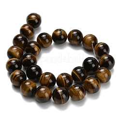 Природных тигровый глаз бисер нитей G-L642-B02-16mm-AA