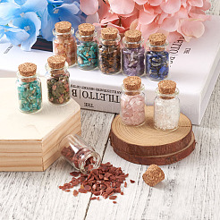 Стеклянные бутылки желая украшения STAS-CW0001-01