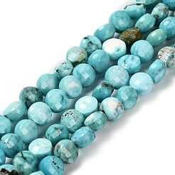 Природные Говлит бисер нитей G-C179-A6mm-27