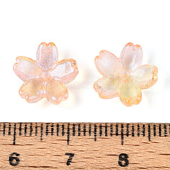 Расписные прозрачные стеклянные шапочки для запекания DGLA-N014-06B-06