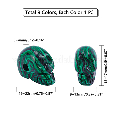 天然石ビーズ  スカル  15~17x19~22x9~13mm  穴：3~4mm  6個/セット&nbsp;G-PH0034-44