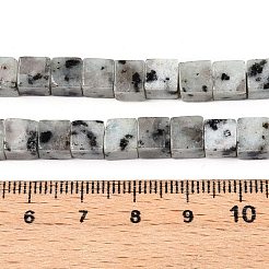 Натуральный кунжут яшма / киви нитки бусины яшмы G-T139-6x6-01A