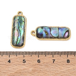 Natur Paua Muschel Anhänger&nbsp;SA-CBA11D7-11B-G