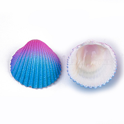 Аэрозольная краска натуральные бусины из ракушек ковчега&nbsp;LS-X-SSHEL-S261-03D