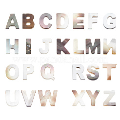 26 шт. 26 вида натуральных черных бусин-ракушек для губ SSHEL-BC0001-13