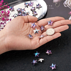 K9 Glas Strass Charms&nbsp;X-GLAA-TA001-007