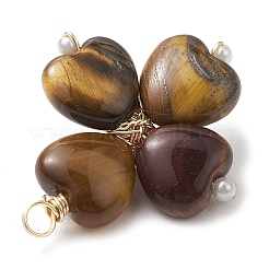 Pendenti con perline di ematite sintetica avvolte in filo di rame occhio di tigre&nbsp;PALLOY-JF02947-04