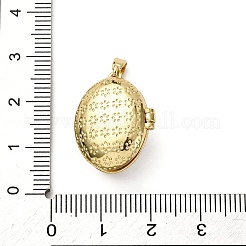 Ciondoli con medaglione in ottone zirconi a micro pavimentazione in ottone&nbsp;LS-KK-F912-02G