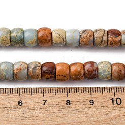 Натуральные бусины из аква терра яшмы G-L624-D03-10x8mm