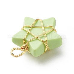 Pendentifs en résine opaque&nbsp;PALLOY-JF01849-01