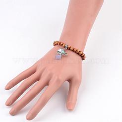 Сплав акриловые браслеты BJEW-JB02278-06