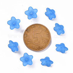 Прозрачные акриловые бусины PL554-09