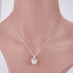 DIY ケージ チャーム ネックレス イヤリング メイキング ファインディング キット  ハート＆クラウン＆フラワーブラス＆アロイペンダントを含む  304ステンレススチールピアスフック  プラスチックパールビーズ  真鍮製チェーンネックレス  ミックスカラー  28x13x12mm  穴：2.5mm&nbsp;DIY-SZ0009-18