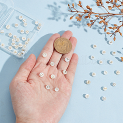 52шт 26 стиля натуральные бусины из пресноводных ракушек SHEL-PH0001-67