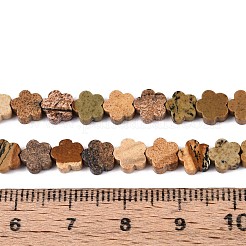 Естественного изображения яшмы бисер нитей G-N257-24A-08