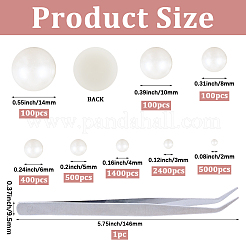 8 стиль полукруглые кабошоны из АБС-пластика с имитацией жемчуга&nbsp;OACR-PA0001-19