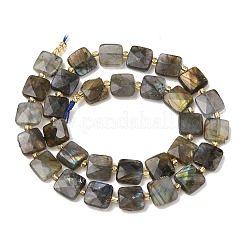 Природных драгоценных камней смешанного бисер нитей G-L642-L01-10mm