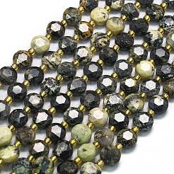 Бусы натуральная африканская бирюза (яшма) G-C116-A23-02