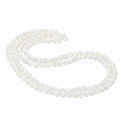 Benecreat 2 brins de perles de coquille de trochid naturel / brins de coquille de troca, ronde, couleur de coquillage, 6mm, Trou: 0.8mm, Environ 71 pcs/chapelet, 15.75 pouce (40 cm)