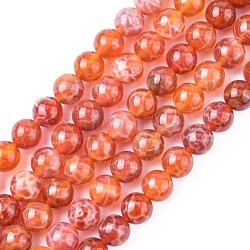 Naturbrand Knistern Achat Perlen Stränge, gefärbt und erhitzt, Runde, 8 mm, Bohrung: 1 mm, ca. 49 Stk. / Strang, 15.75 Zoll