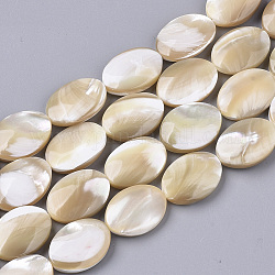 Fili di perle di conchiglia trochid naturale / trochus, ovale, 18x13.5x4~6mm, Foro: 0.7 mm, circa 22pcs/filo, 15.79 pollice (40.1 cm)