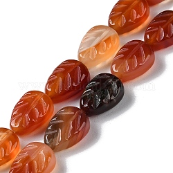 Fili di perline agata rosso naturale, foglia, 14~14.5x10~10.5x5.5~6mm, Foro: 1.2 mm, circa 15pcs/filo, 8.43'' (21.4 cm)