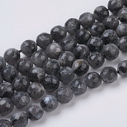 Natürliche Larvikit-Perlenstränge, facettiert, Runde, Grau, 6 mm, Bohrung: 1 mm, ca. 63 Stk. / Strang, 15.55 Zoll