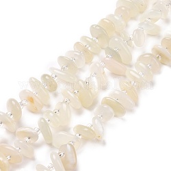 Natürlichen weißen Mondstein Perlen Stränge, Chip, 5~18x3~9x2~5 mm, Bohrung: 1 mm, ca. 67~69 Stk. / Strang, 15.55'' (39.5~40 cm)