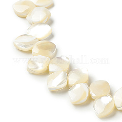 Fili di perle di conchiglia trochid naturale / trochus, foglia, beige, 10.5x8x3.8mm, Foro: 0.9 mm, circa 69pcs/filo, 16.93 pollice (43 cm)